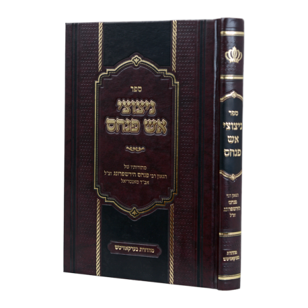 ⁦ניצוצי אש פנחס  / עוז והדר⁩ – תמונה ⁦2⁩