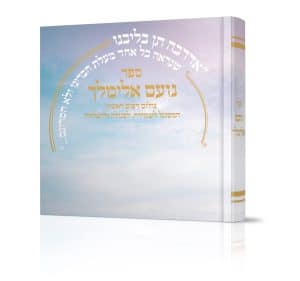 נועם אלימלך