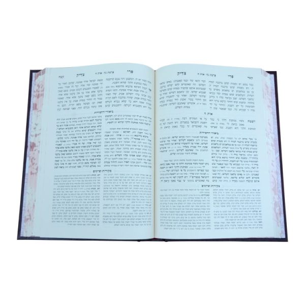 ⁦פרי צדיק בראשית א (בראשית-חיי שרה)  / עוז והדר⁩ – תמונה ⁦2⁩