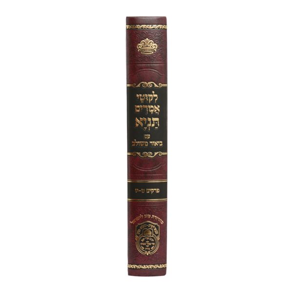 ⁦תניא ביאור משולב ב (פרקים ט-יז)⁩ – תמונה ⁦5⁩