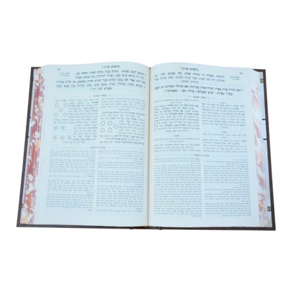 ⁦רמב"ם המבואר זרעים - כלאים  / עוז והדר⁩ – תמונה ⁦2⁩