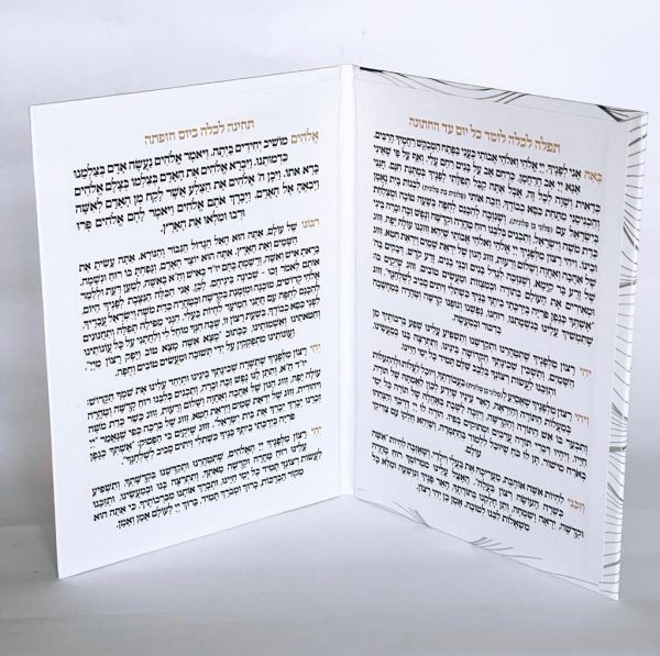 ⁦ברכת כלה⁩ – תמונה ⁦3⁩