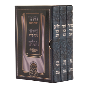 סט סידור חול שבת ותהלים
אביר יעקב, מהדורת פרידמן
דמוי עור | ע"מ