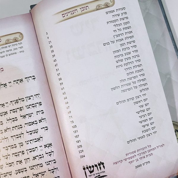 ⁦שיר ושבחה מפואר  - תפילות ותהילים מדורג⁩ – תמונה ⁦2⁩