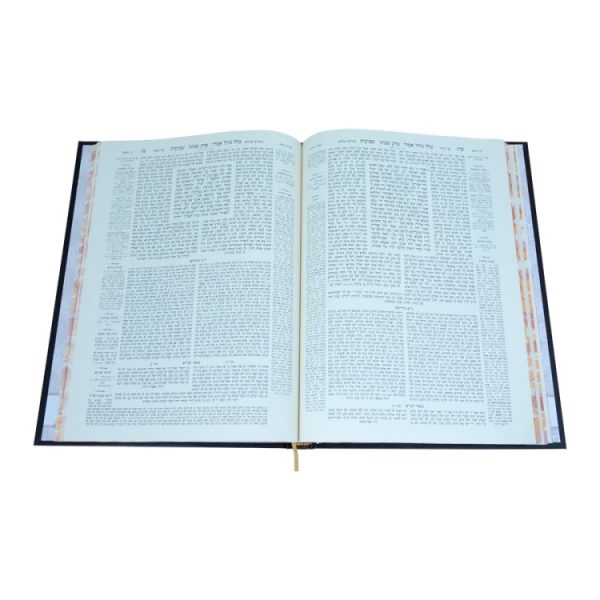 ⁦שביעית ירושלמי חום  / עוז והדר⁩ – תמונה ⁦2⁩