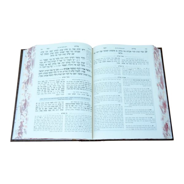 ⁦מדרש רבה המבואר בראשית ד (וישלח-ויחי)  / עוז והדר⁩ – תמונה ⁦2⁩