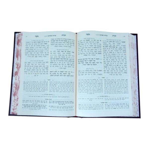 ⁦תורת משה אלשיך המבואר דברים א (דברים-ראה)  / עוז והדר⁩ – תמונה ⁦2⁩