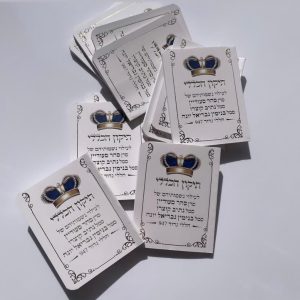 תיקון הכללי - ספרון כיס - דגם אגם ירוק