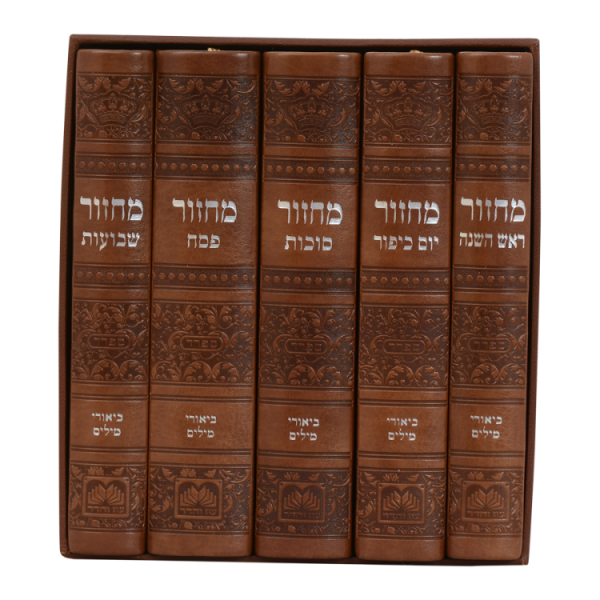 ⁦סט 5 מחזורים פיו (14 ס"מ) ספרד חום בהיר  / עוז והדר⁩ – תמונה ⁦2⁩