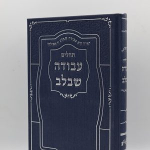 תהילים עבודה שבלב גדול - סקאי - ג'ינס