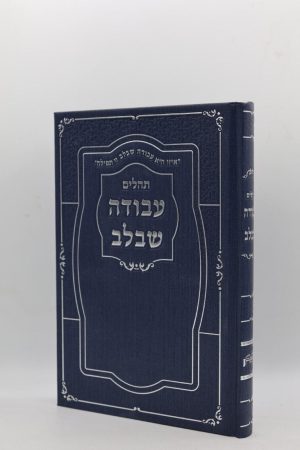 תהילים עבודה שבלב גדול - סקאי - ג'ינס