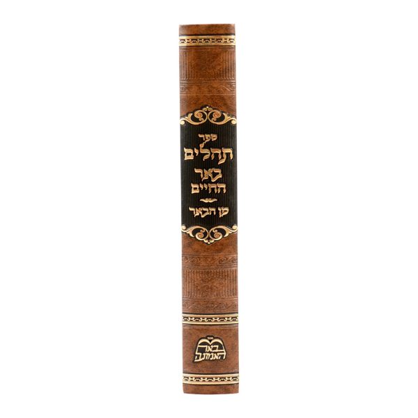 ⁦תהילים באר החיים (הרב בידרמן)⁩ – תמונה ⁦3⁩