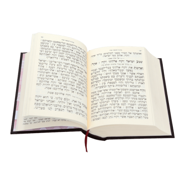 ⁦חמישה חומשי תורה בית כנסת קטן אשכנז -עם סידור-  / עוז והדר⁩ – תמונה ⁦2⁩