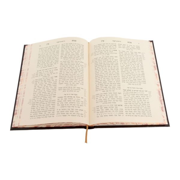 ⁦מנחם ציון המנוקד (26 ס"מ)⁩ – תמונה ⁦3⁩