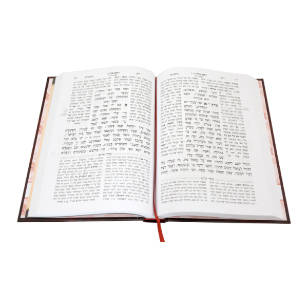 ⁦משניות לתלמידים סדר מועד למינציה  / עוז והדר⁩ – תמונה ⁦2⁩