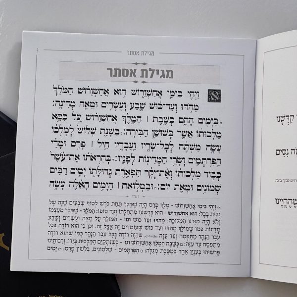 ⁦מגילת אסתר - דגם ברקים⁩ – תמונה ⁦4⁩