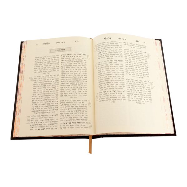 ⁦נועם אלימלך המנוקד (26 ס"מ)⁩ – תמונה ⁦3⁩