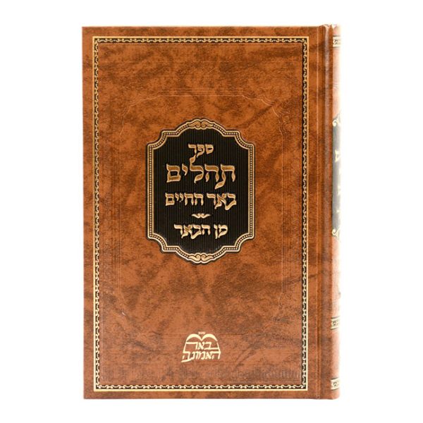 ⁦תהילים באר החיים (הרב בידרמן)⁩ – תמונה ⁦2⁩