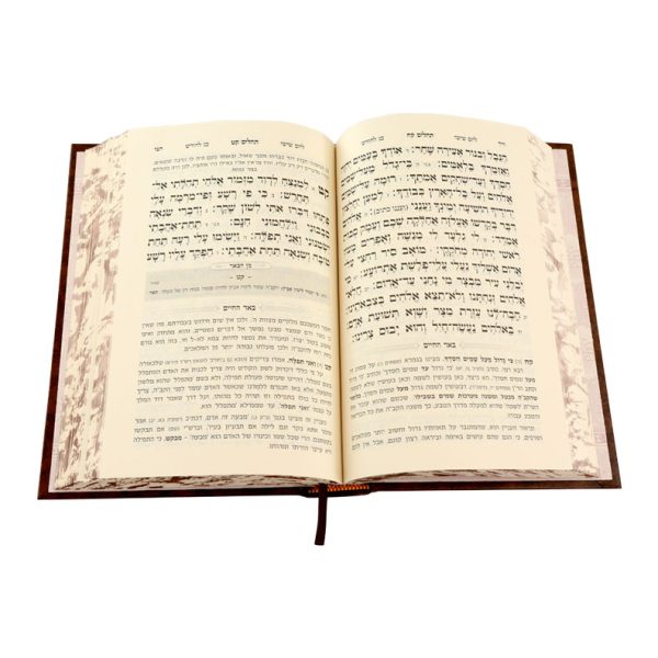 ⁦תהילים באר החיים (הרב בידרמן)⁩ – תמונה ⁦4⁩