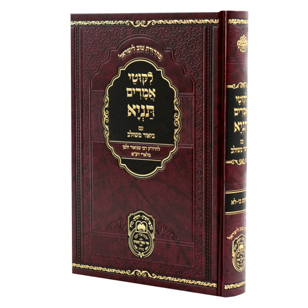 תניא ביאור משולב ד (פרקים כו-לא)