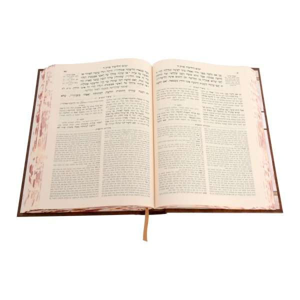 ⁦רמב"ם המבואר נשים - יבום וחליצה⁩ – תמונה ⁦4⁩