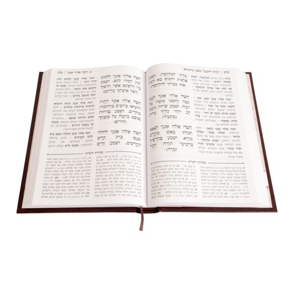 ⁦קינות מתיבתא קשה
26 ס"מ | ספרד⁩ – תמונה ⁦4⁩