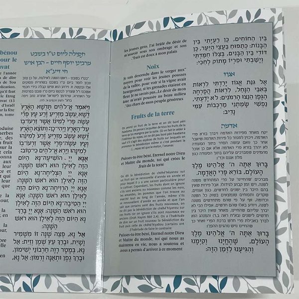 ⁦סדר ט"ו בשבט בעברית וצרפתית⁩ – תמונה ⁦2⁩
