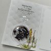 ⁦סדר הבדלה מפואר בתוספת בשמים⁩ – תמונה ⁦2⁩