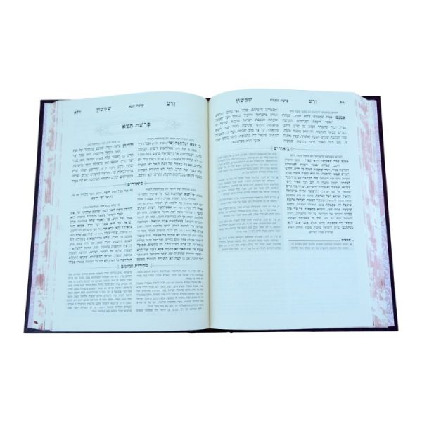 ⁦סט זרע שמשון המבואר (8 כרכים)  / עוז והדר⁩ – תמונה ⁦3⁩