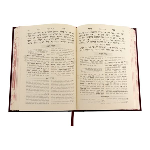 ⁦זוהר המבואר בראשית ד (נח)⁩ – תמונה ⁦3⁩