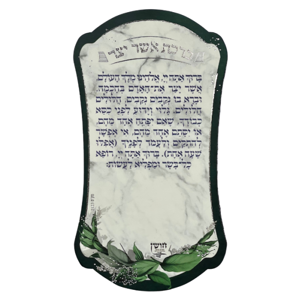 ⁦מגנט ברכת אשר יצר⁩ – תמונה ⁦2⁩