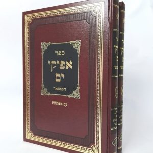 סט אפיקי ים על הש"ס 2 כרכים / הרב יחיאל מיכל רבינוביץ'