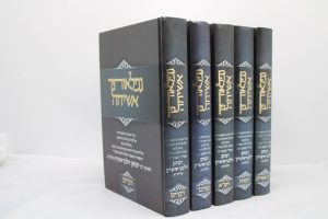 סט נפלאותיך אשיחה על התורה והמועדים (5 כרכים) / הרב יצחק זילברשטיין