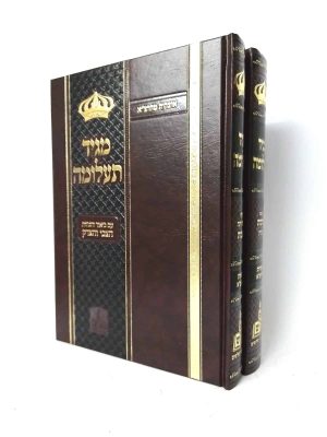 סט מגיד תעלומה על הש"ס 2 כרכים / רבי צבי אלימלך מדינוב