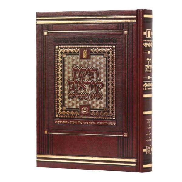 תיקון קוראים איש מצליח - פורמט בינוני