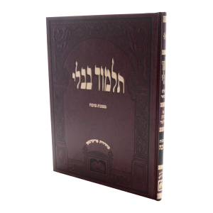 גמרא סוכה תלמידים (בורדו)  / עוז והדר