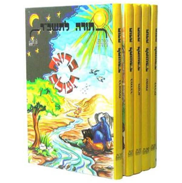 סט תורה לתשב"ר 5 כרכים / סוכת דוד