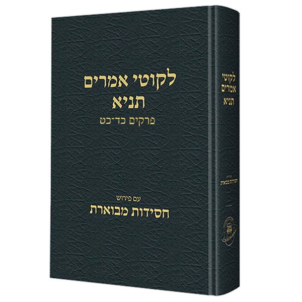 תניא חסידות מבוארת ד (כד-כט) / הרב שטיינזלץ