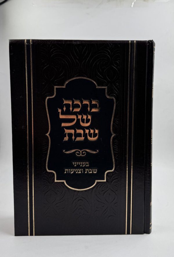 ברכה של שבת - בענייני שבת וצניעות