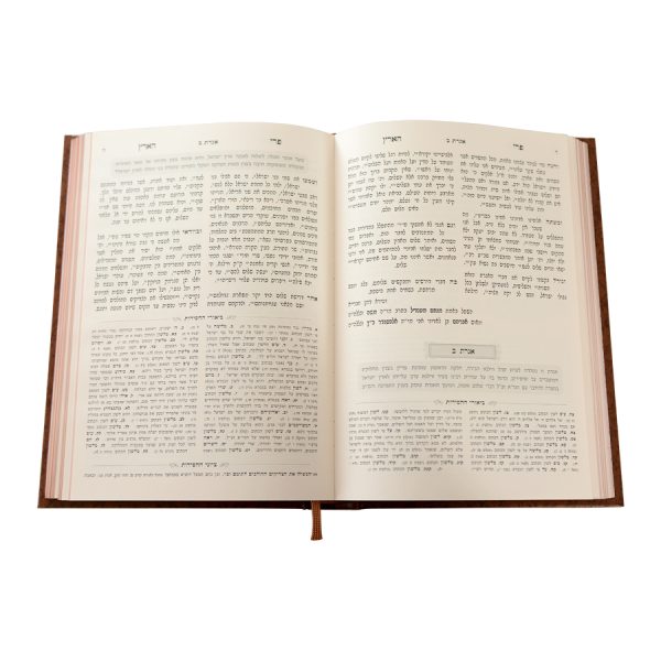 ⁦סט פרי הארץ 3 כרכים / עוז והדר⁩ – תמונה ⁦3⁩