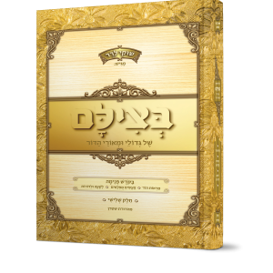 בצילם של גדולי ומאורי הדור 3 / שוקי לרר