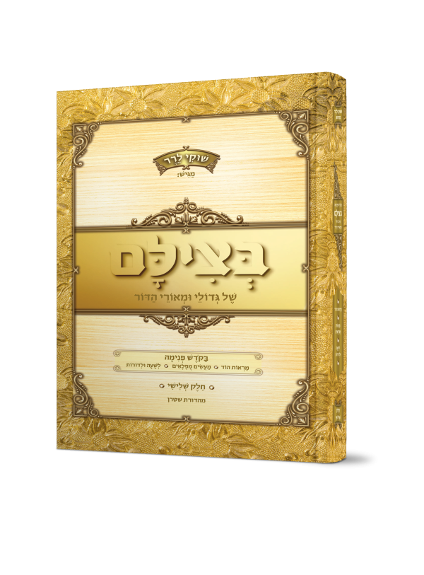 בצילם של גדולי ומאורי הדור 3 / שוקי לרר