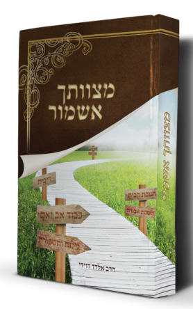 סט פאר ההלכה 6 כרכים / הרב אלדד דוידי – תמונה 7