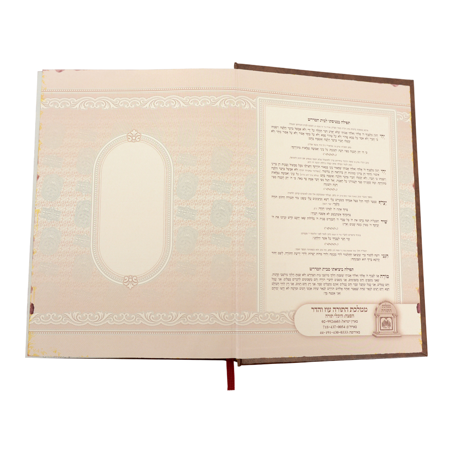 עין יעקב ביאורי החסידות (מגילה-תענית) / עוז והדר – תמונה 2