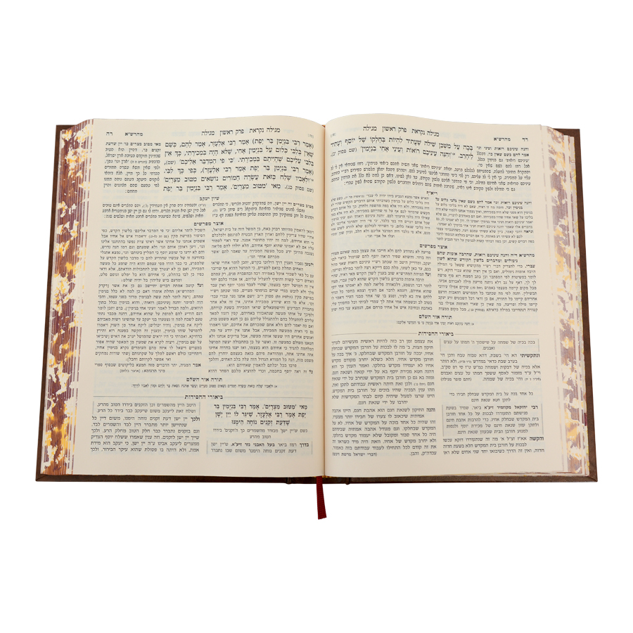 עין יעקב ביאורי החסידות (מגילה-תענית) / עוז והדר – תמונה 4