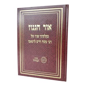 אור הגנוז - בקלסתר פניו של הרמח"ל / מכון רמח"ל