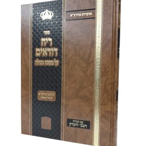 ריח דודאים על מסכת מגילה / ר' צבי אלימלך מדינוב