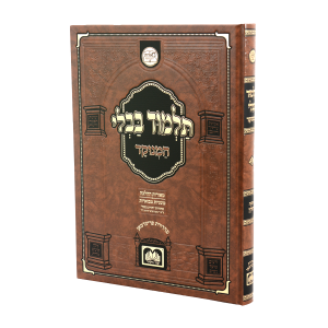 גמרא חולין מנוקד מאורות הדף היומי / עוז והדר