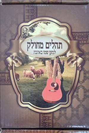 תהילים מחולק למען שמו באהבה 28 חוברות