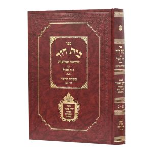 בית דוד שחיטה וטריפות - עם בית שאול ושמלה חדשה / הרב דוד קאמין